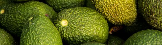 Alpha-avocuta